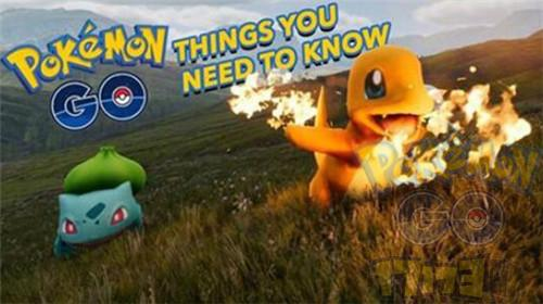 Pokemon精靈寶可夢GO稀有精靈刷新規律