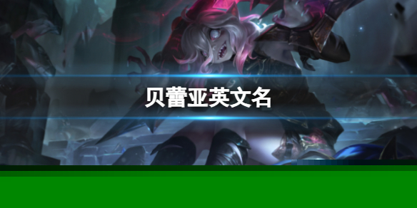 韭游網1