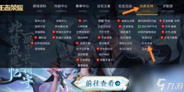 王者榮耀兌換碼在哪里輸入-王者榮耀兌換碼在哪里兌換