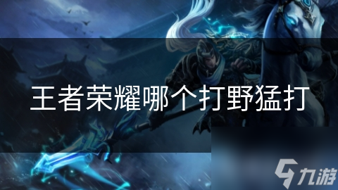 王者榮耀哪個(gè)打野猛打