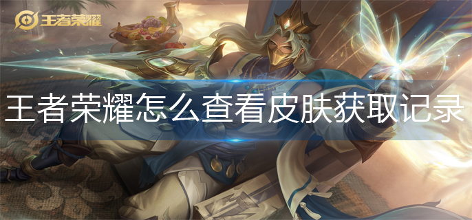 王者榮耀皮膚獲取記錄查詢方法